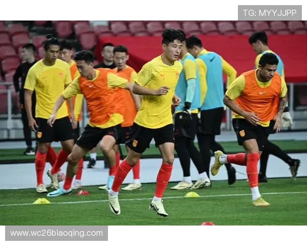 中国队在世界杯亚洲区预选赛中遇到的主要挑战与应对措施