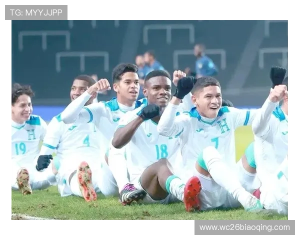 深入分析世界杯南美区预选赛排名变化背后的战术调整与球队表现