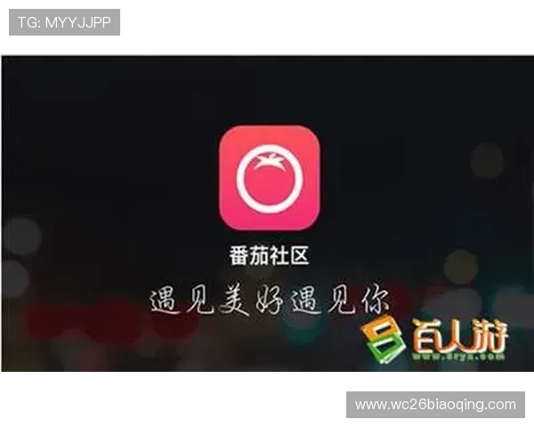 V体育app如何提升用户体验提供专业的赛事直播、赛事回放和互动社区服务